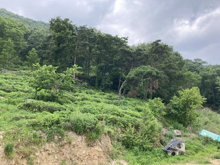 사진 04