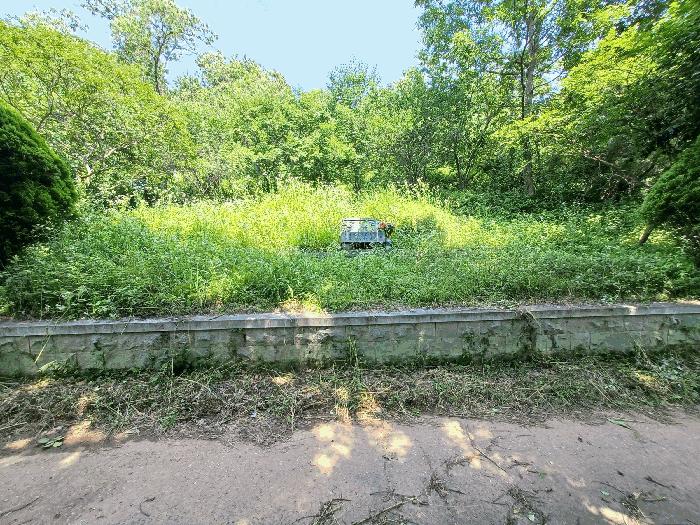 사진 08