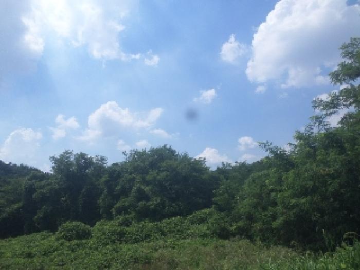 사진 03