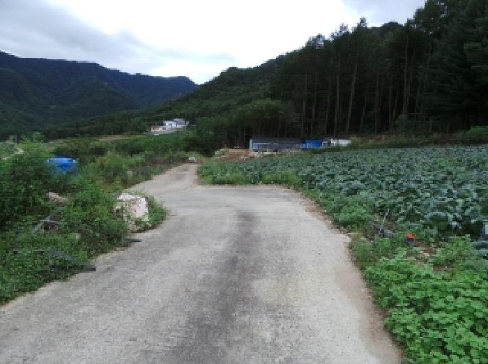 사진 08