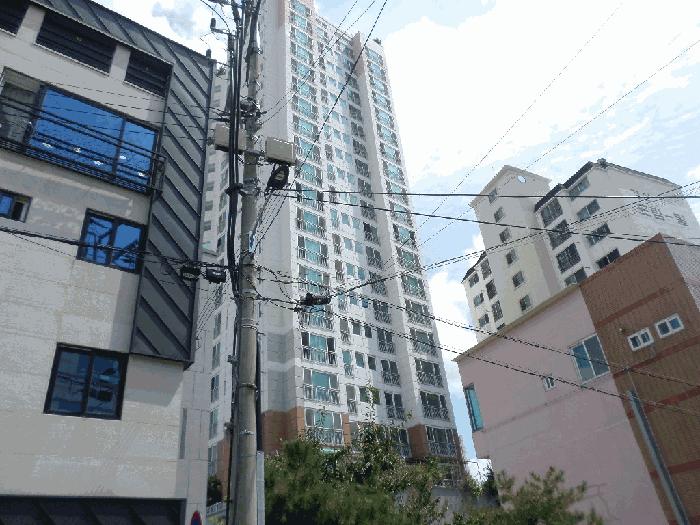 사진 03
