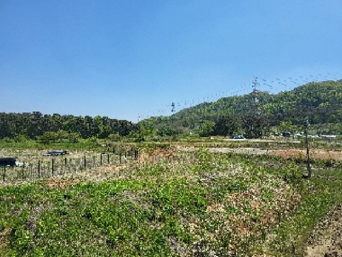 사진 07