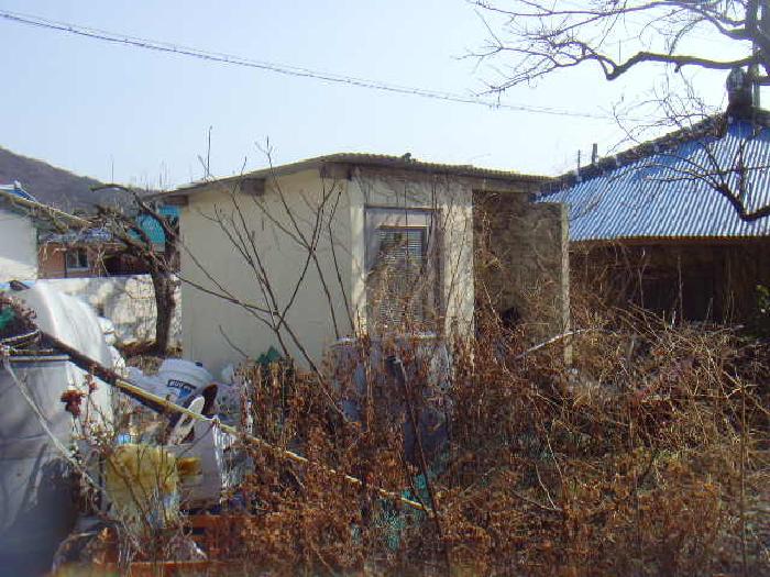 사진 05