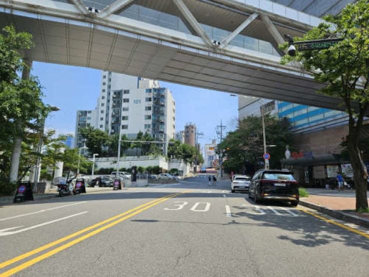 사진 07