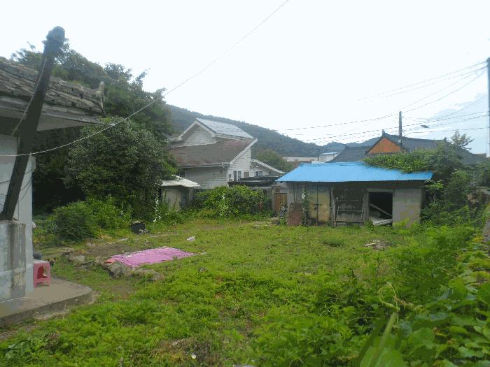 사진 03