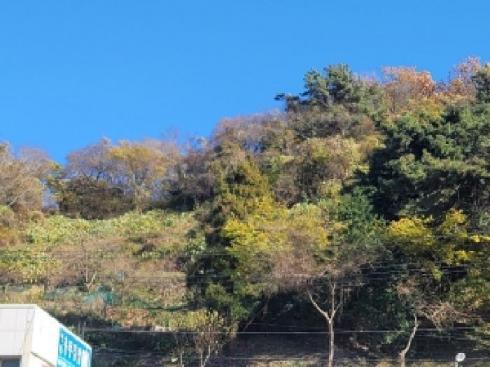 사진 01