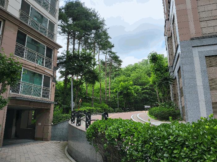 사진 04