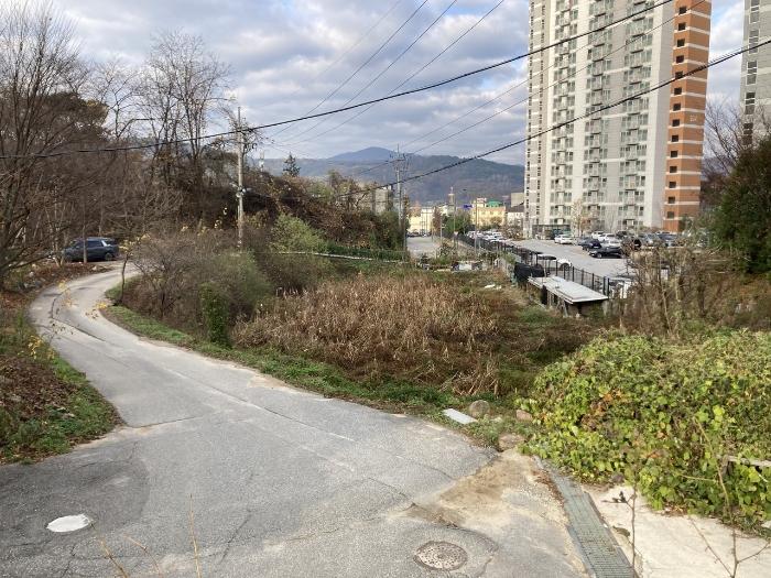 사진 01