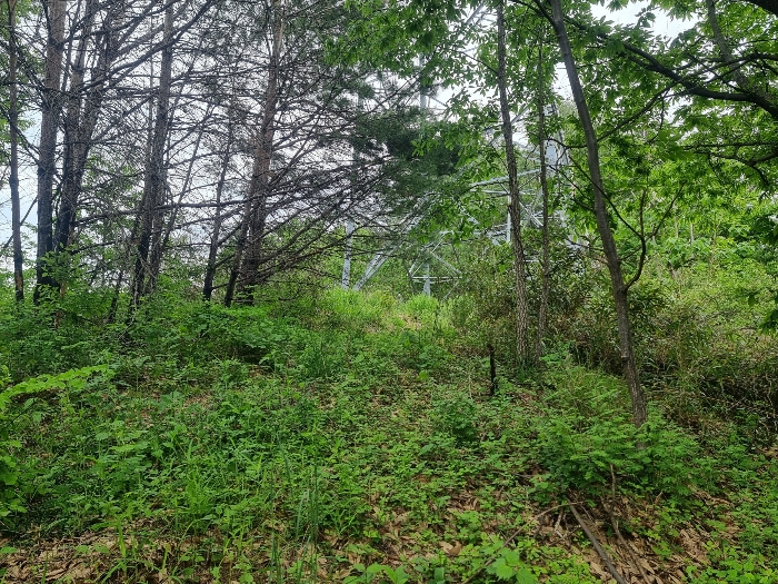 사진 05