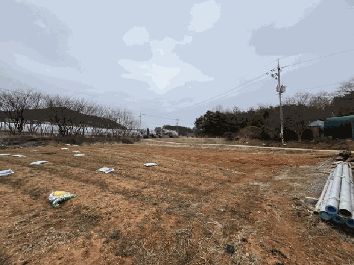 사진 05