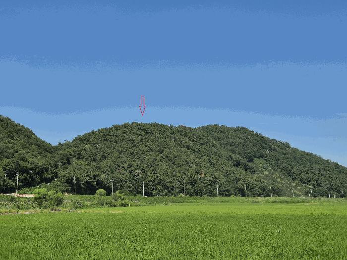 사진 04