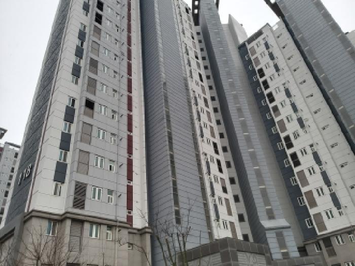 사진 05