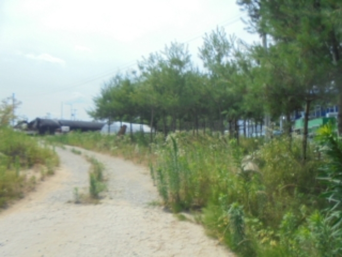 사진 03