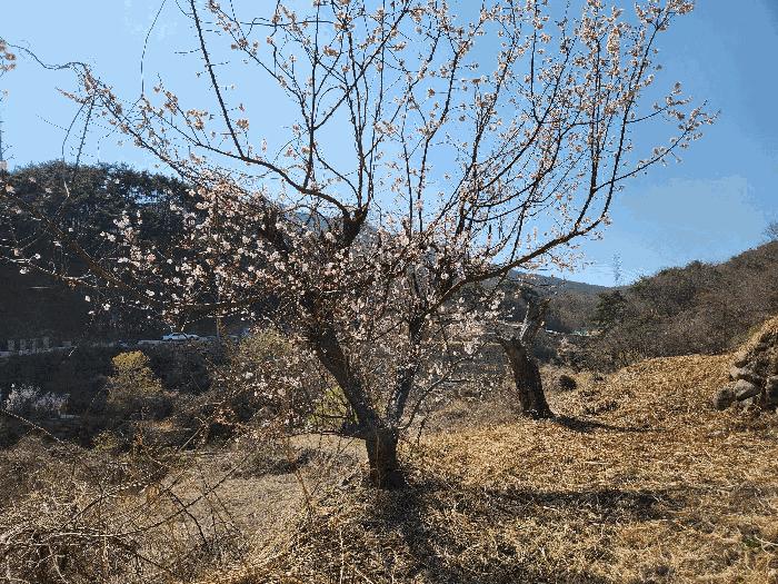사진 08
