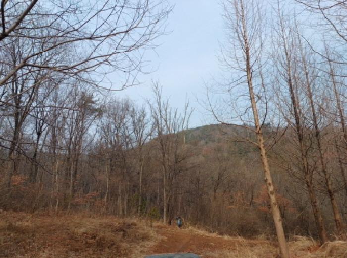 사진 03