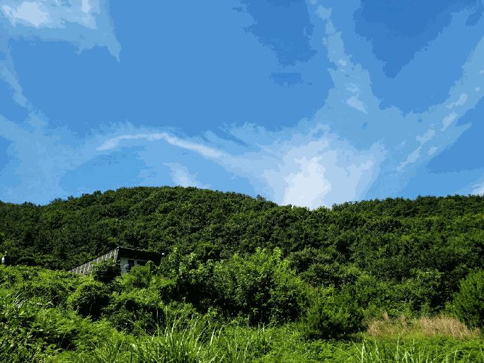 사진 07