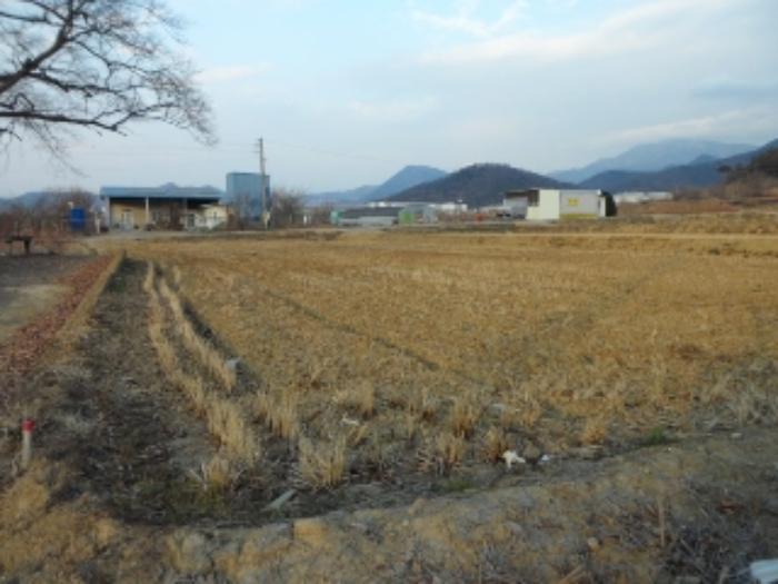 사진 06
