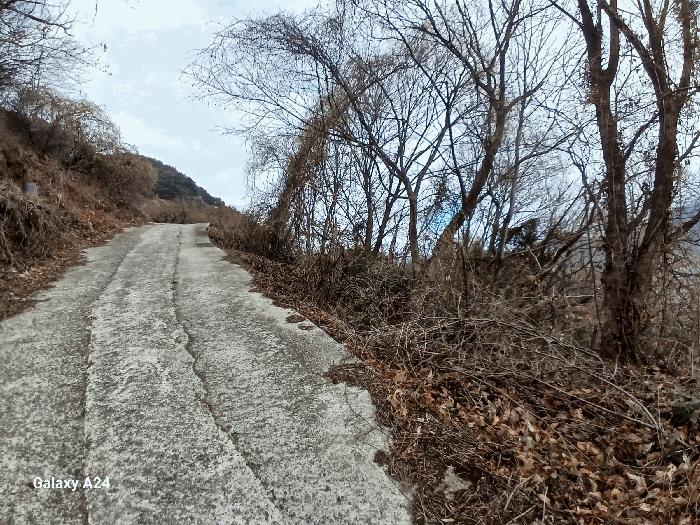 사진 05