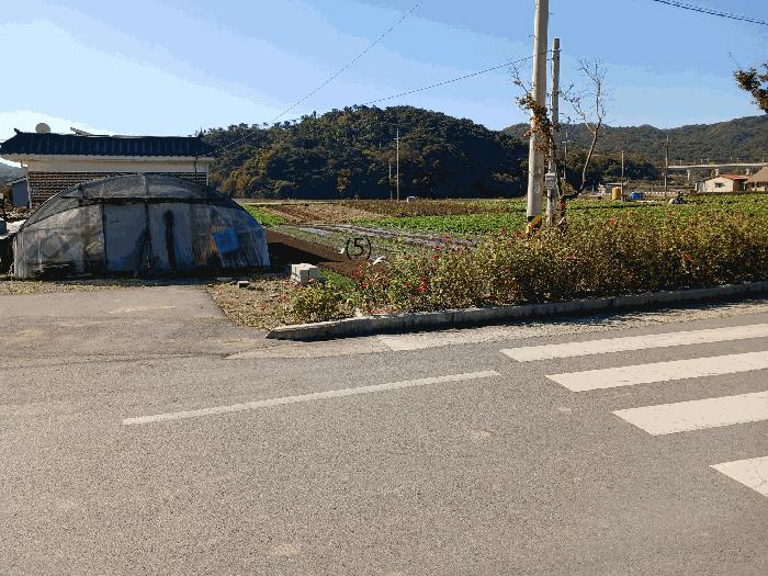 사진 06