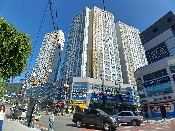 사진 01