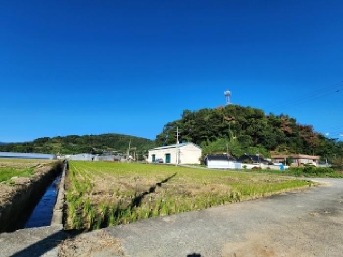 사진 08
