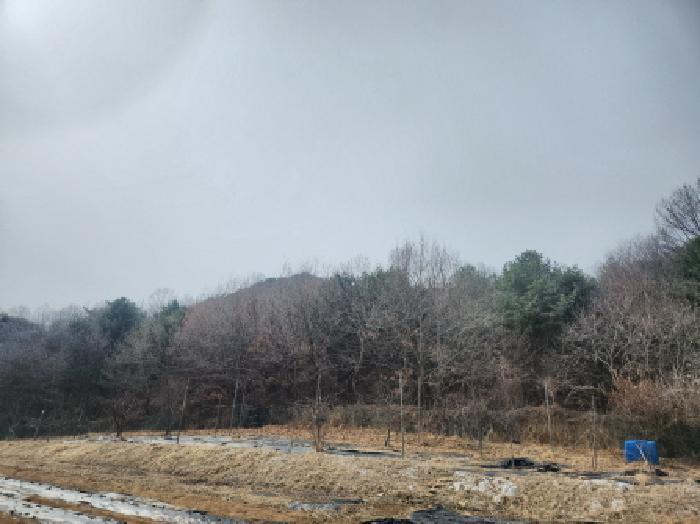 사진 04