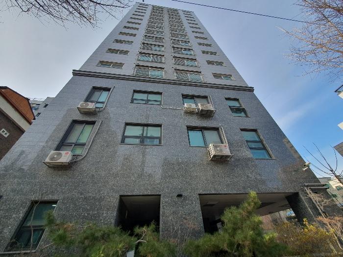 사진 01
