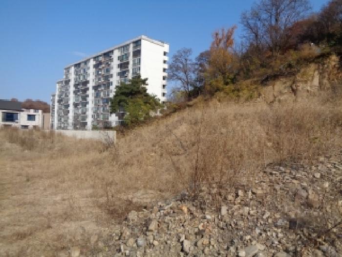 사진 06