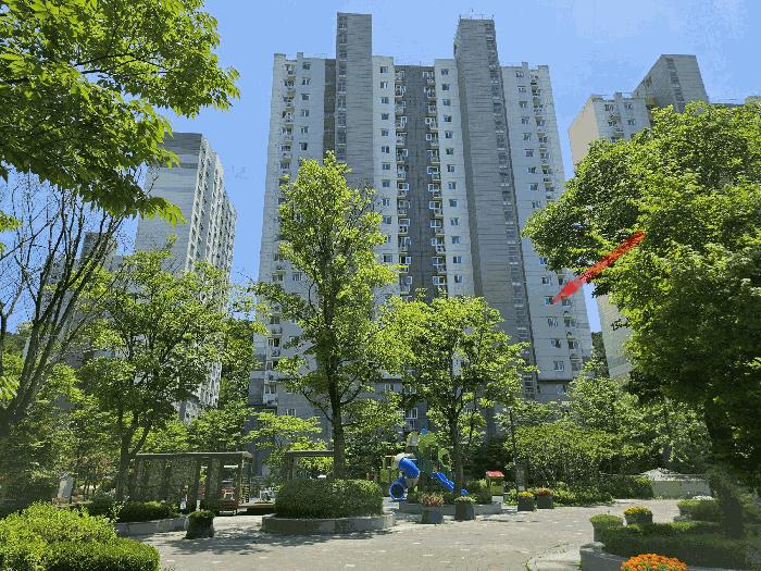 사진 05