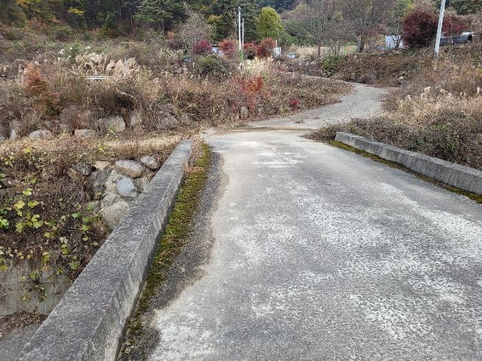 사진 08