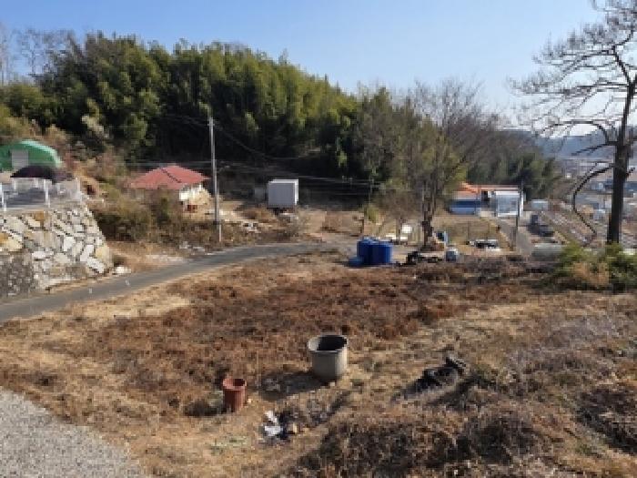 사진 05