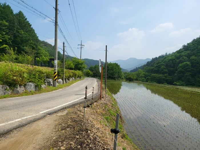 사진 02