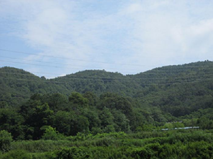 사진 04