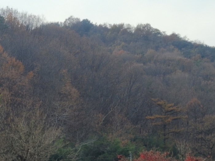 사진 08
