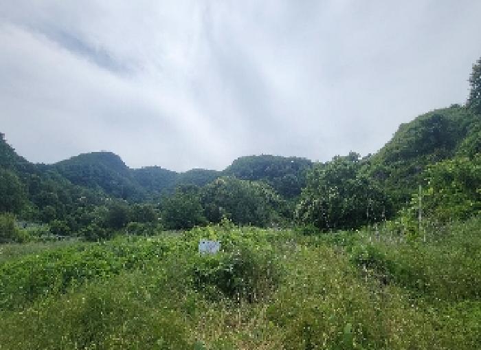 사진 08