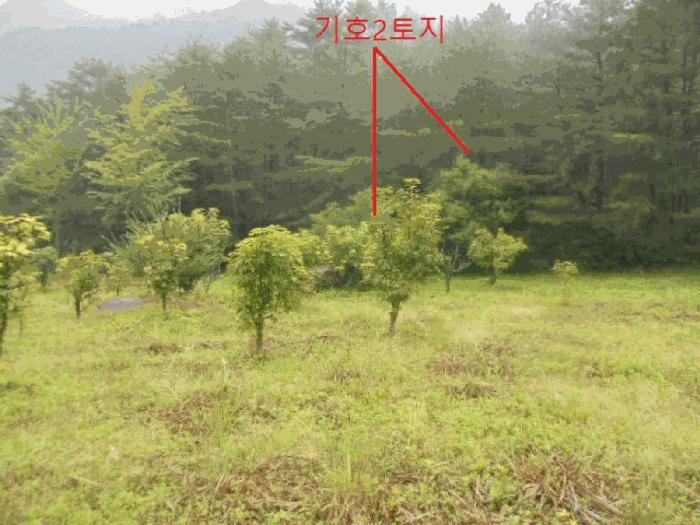 사진 07