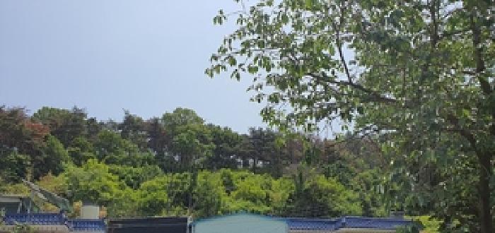 사진 06
