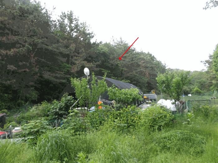 사진 08