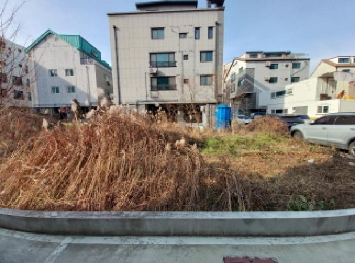 사진 01