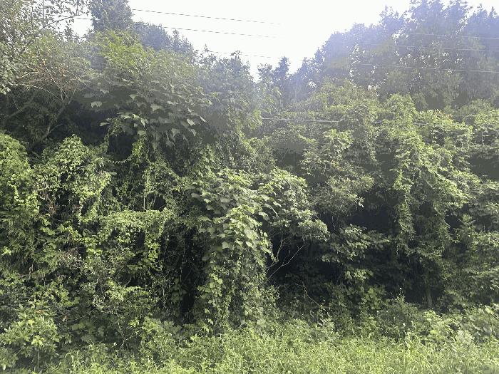 사진 02