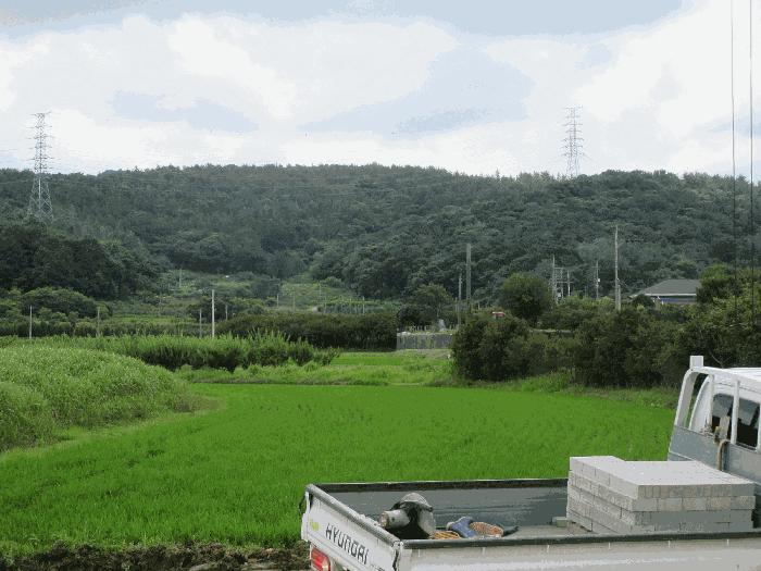 사진 02