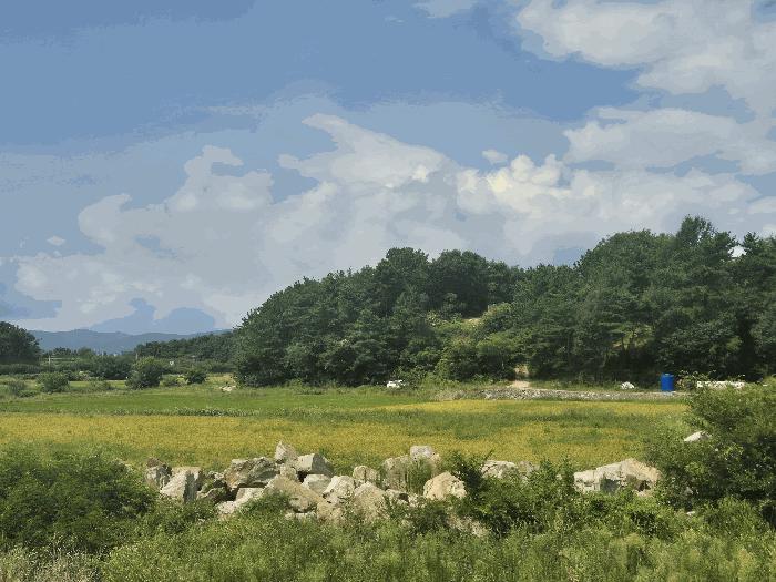 사진 03