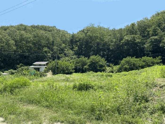 사진 02