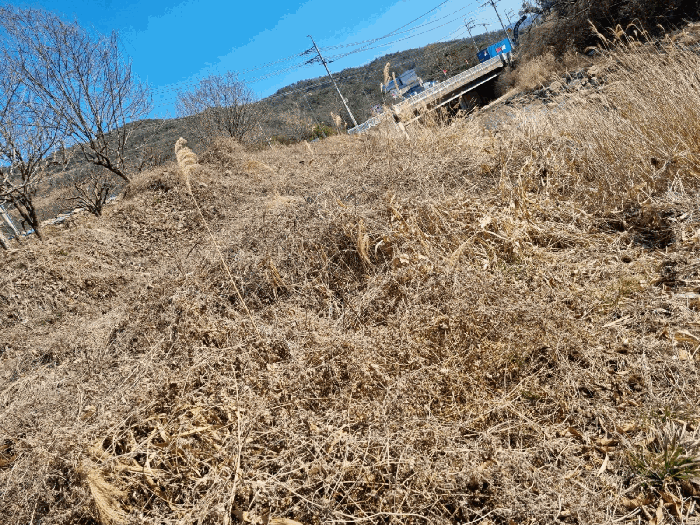 사진 06