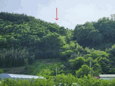 사진 02