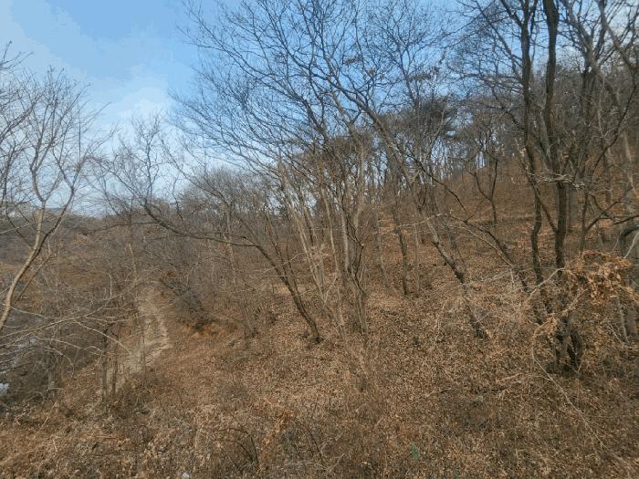 사진 03