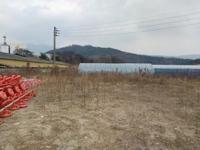 사진 08