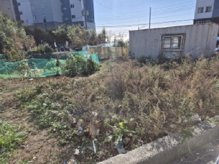 사진 05