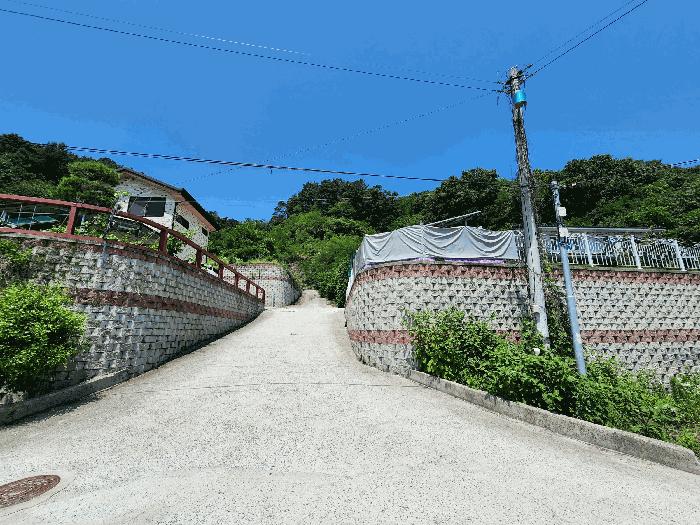 사진 07