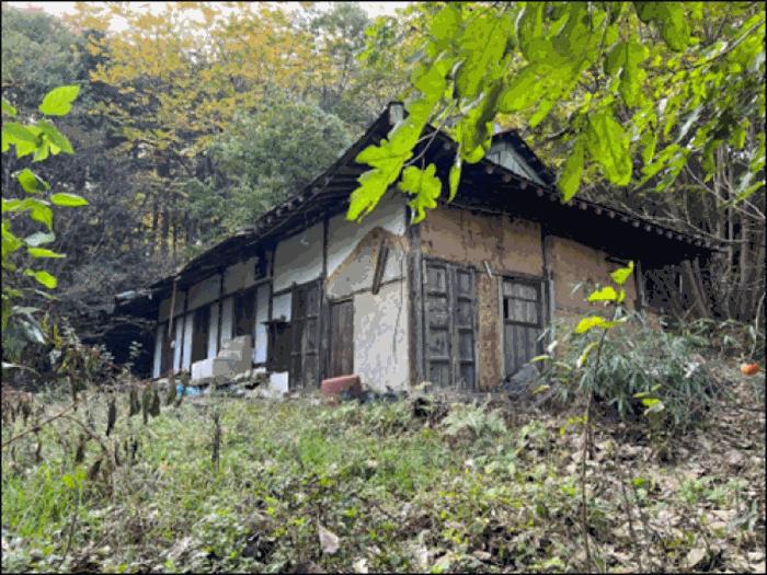 사진 05